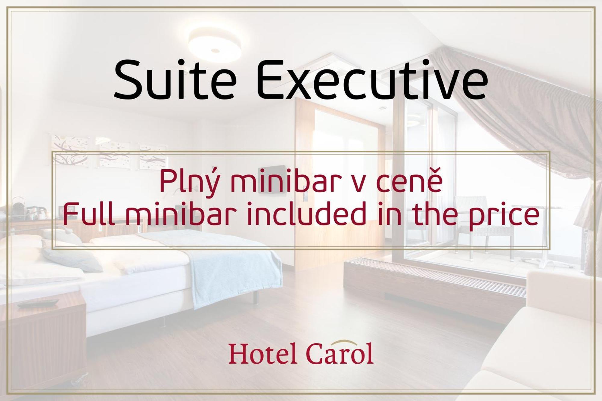 Hotel Carol Прага Стая снимка